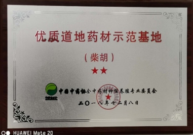 山東百味堂中藥飲片有限公司柴胡種植基地榮獲“優質道地藥材示范基地”